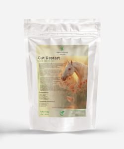 Gut Restart - Soutien digestif naturel pour les chevaux, 150&nbsp;g